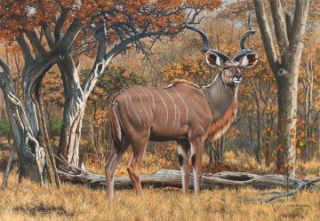 deer 19 Oil Paintings